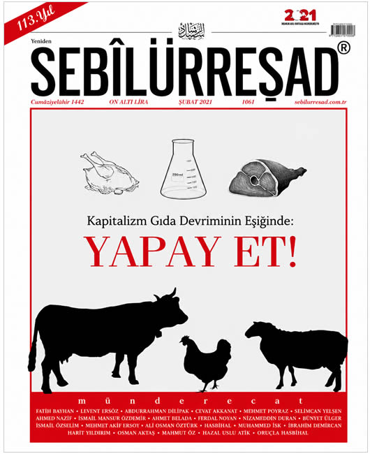 Sebilürreşad Sayı 1061 - Şubat 2021